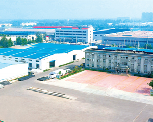 6008集团官方网站简介